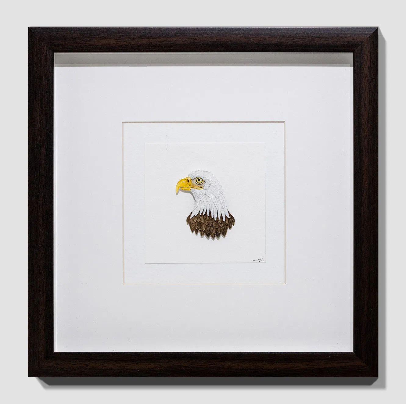 Bald Eagle Portrait