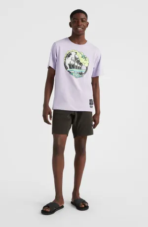Brights Terry Shorts | Raven
