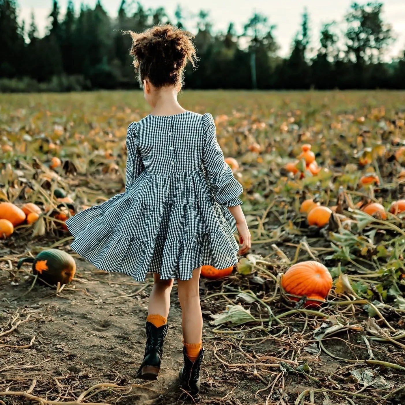 Fireside Kaiya Twirl Dress