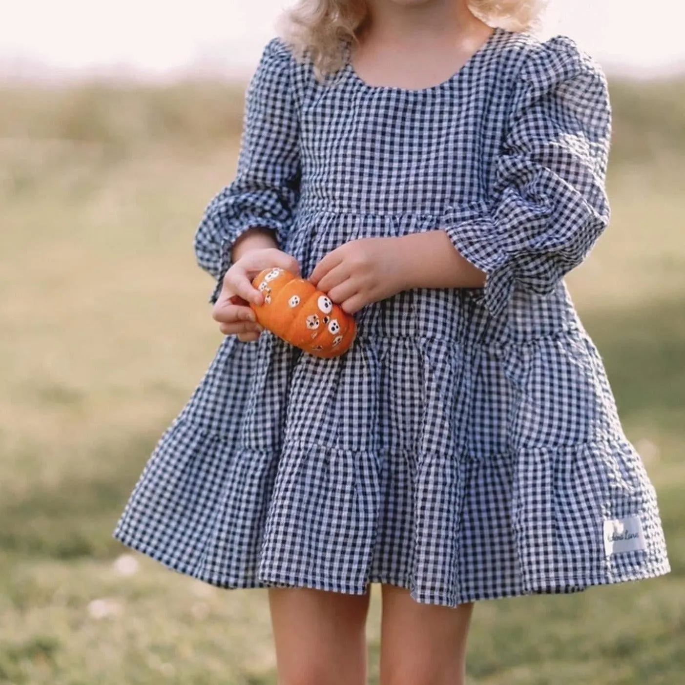 Fireside Kaiya Twirl Dress