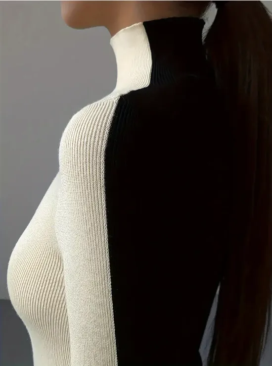Joie - Stylish turtleneck sweater with color block design