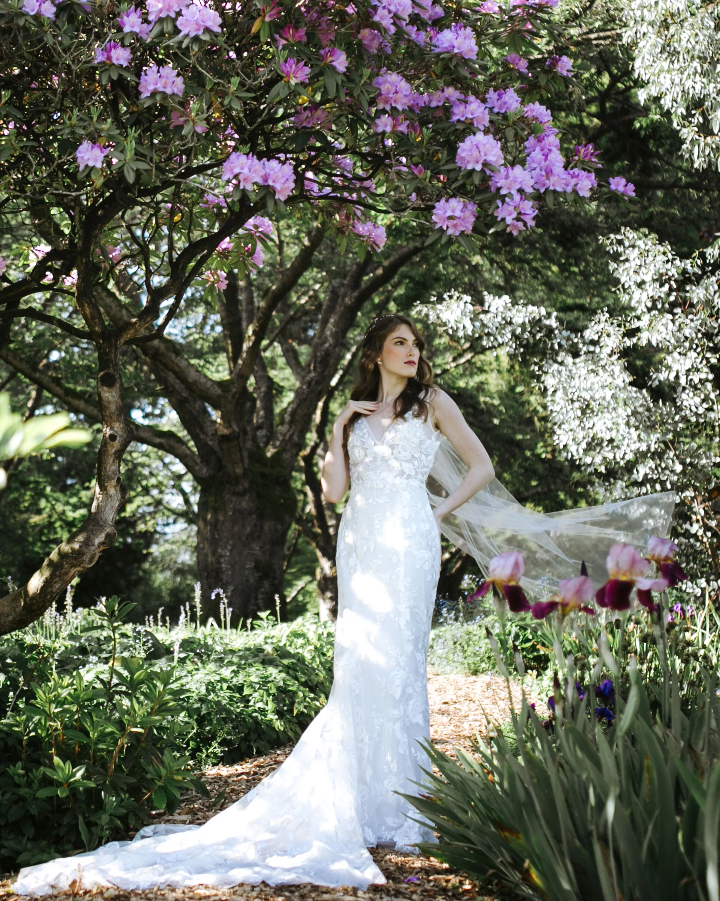 Lily Waltz Veil