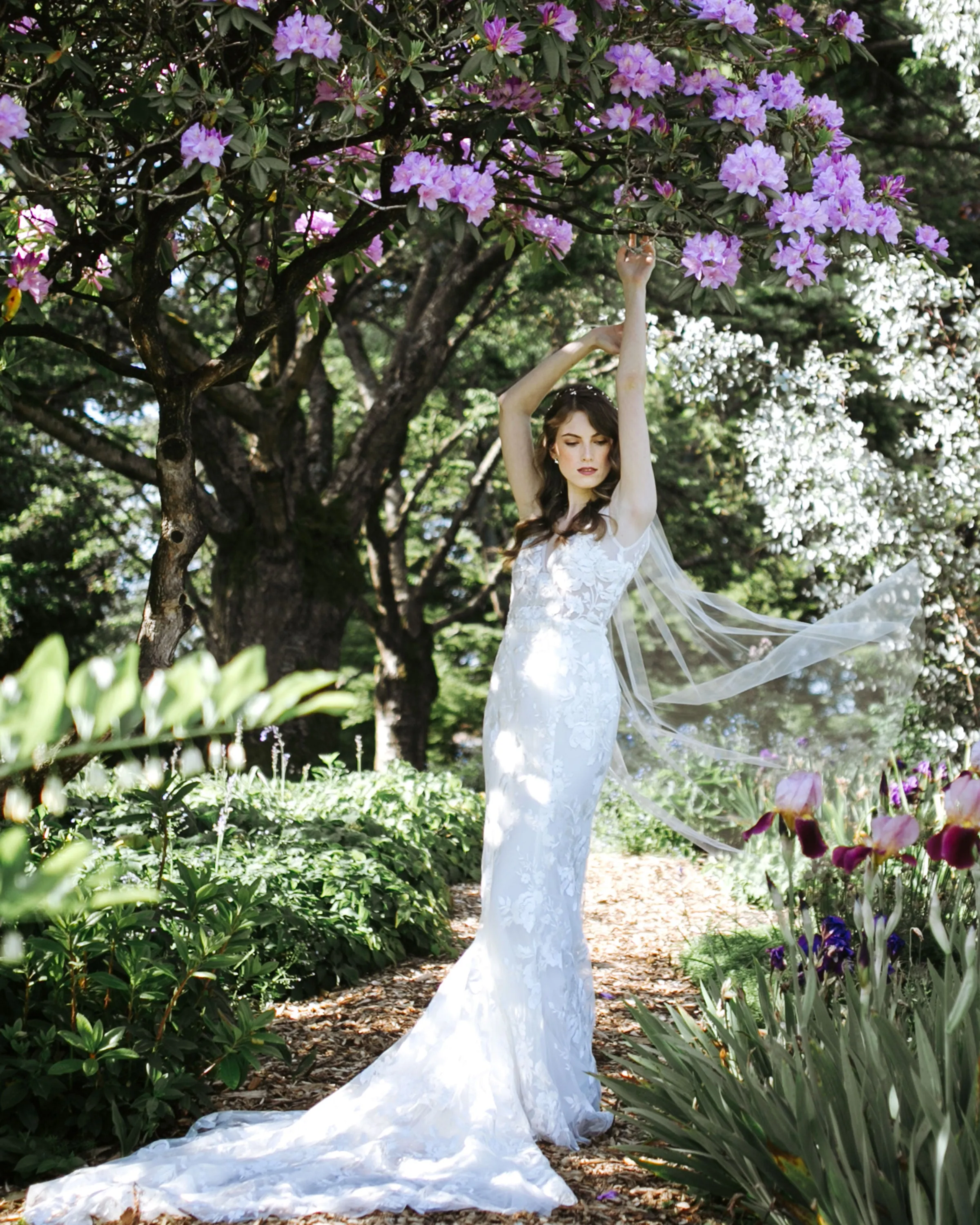 Lily Waltz Veil