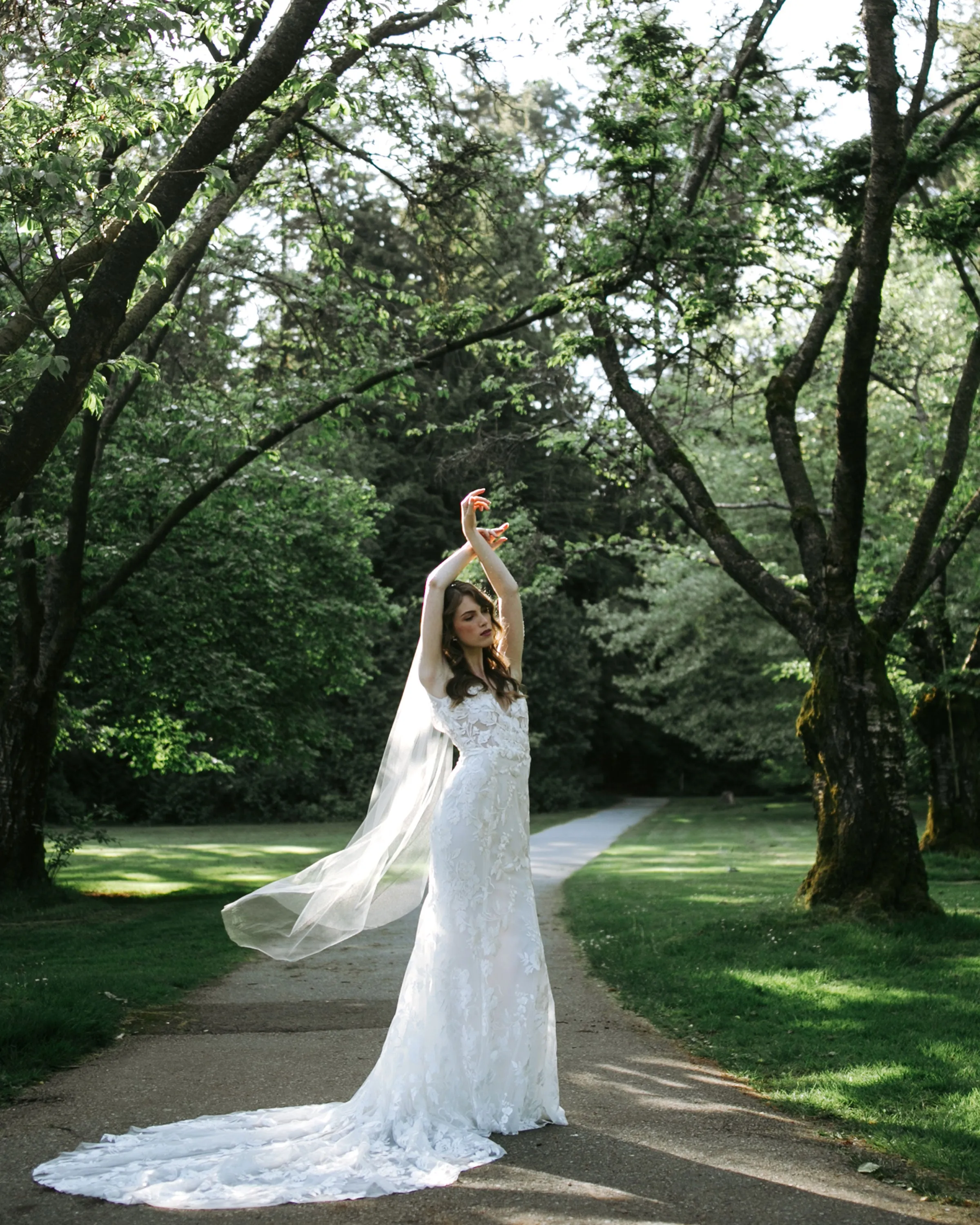 Lily Waltz Veil