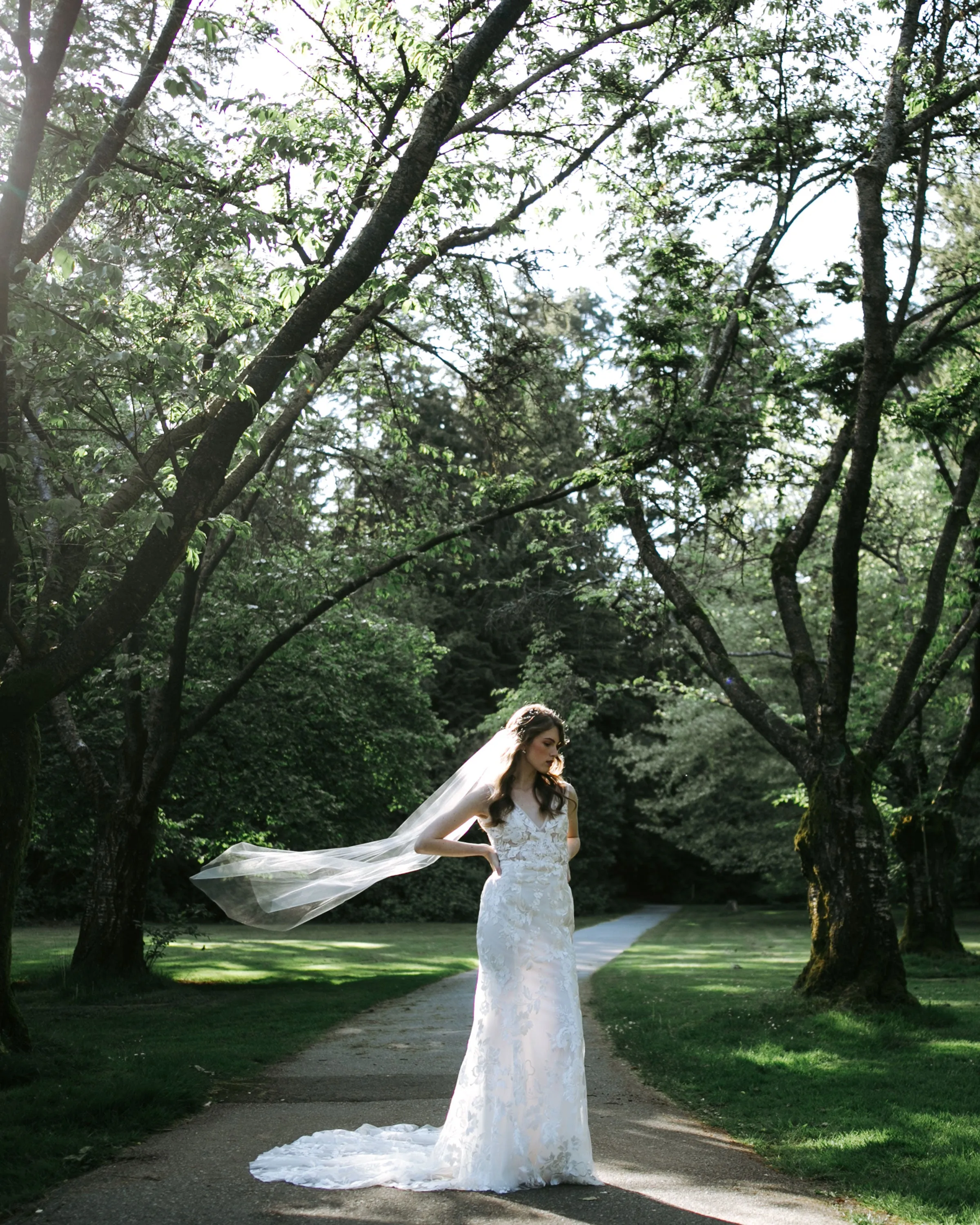 Lily Waltz Veil