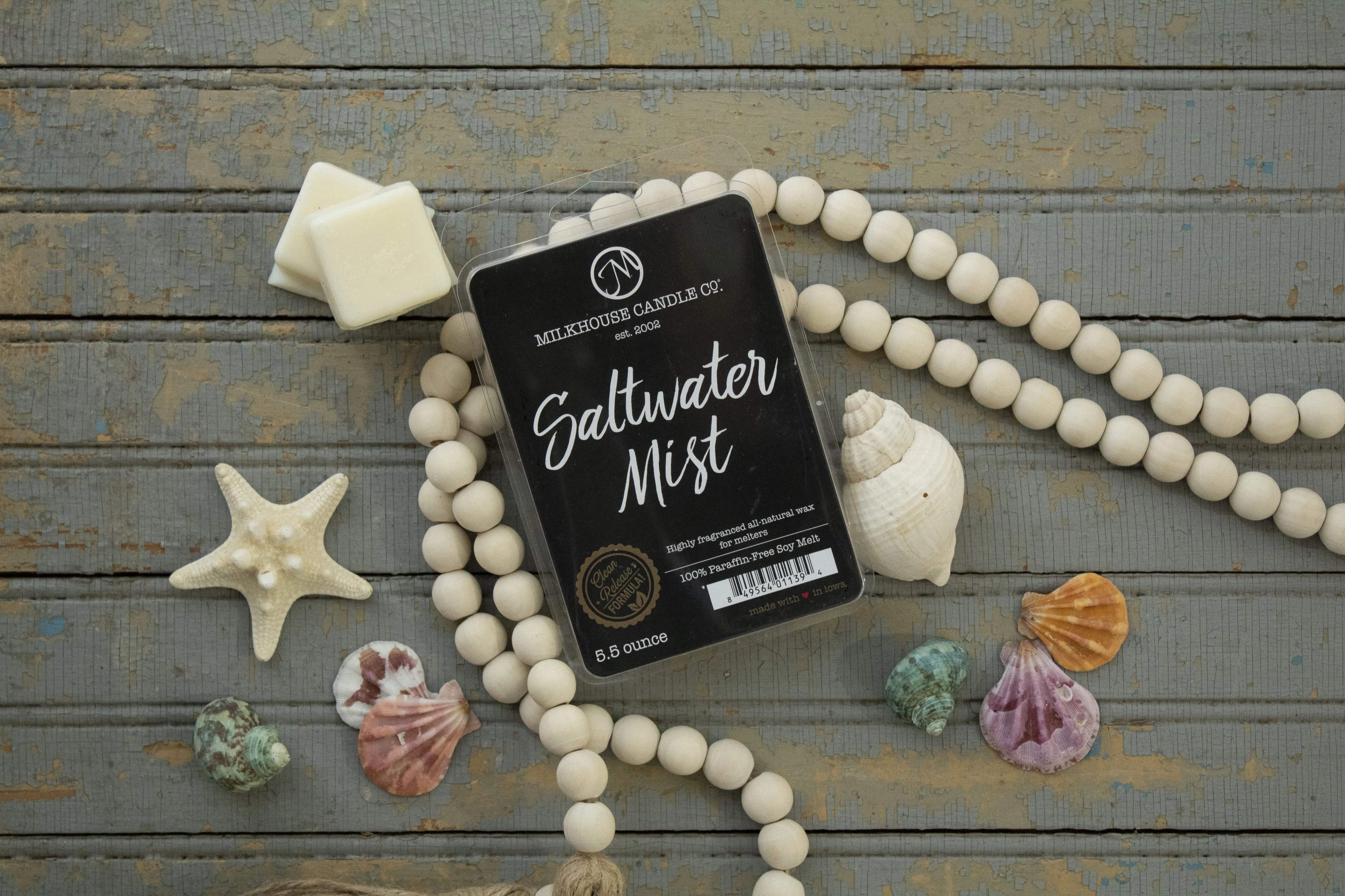 Saltwater Mist Fragrance Melt