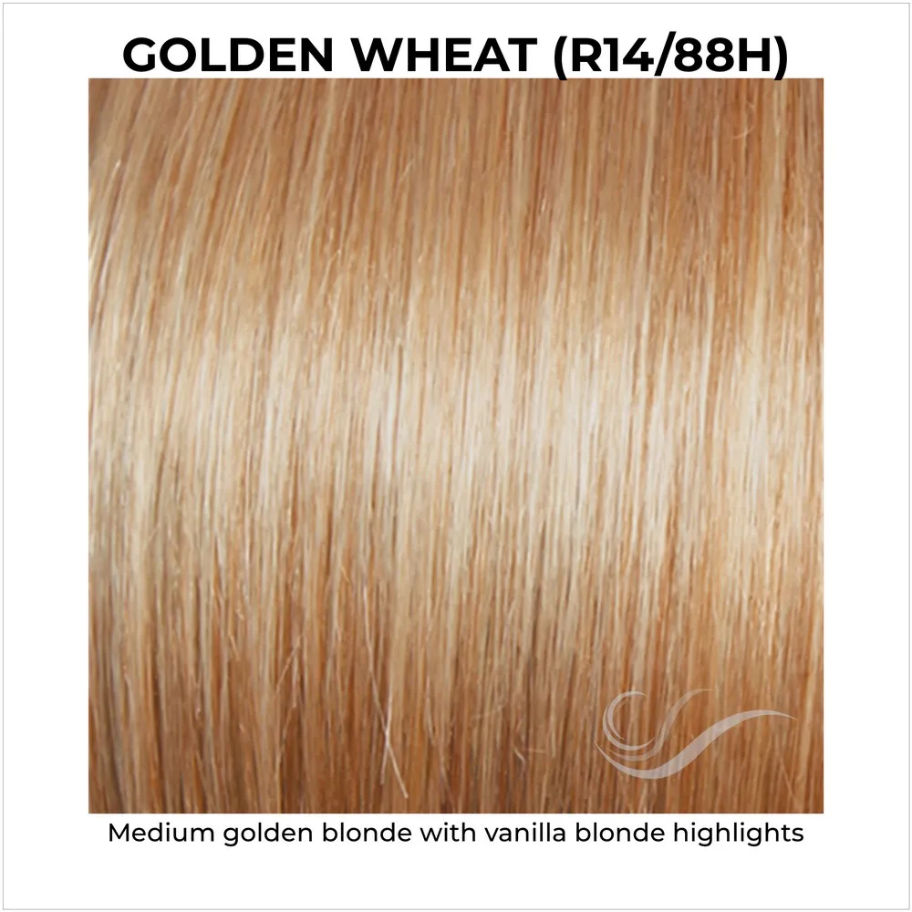 Sparkle Elite by Raquel Welch (Lace Front-Mono Top Wig)
