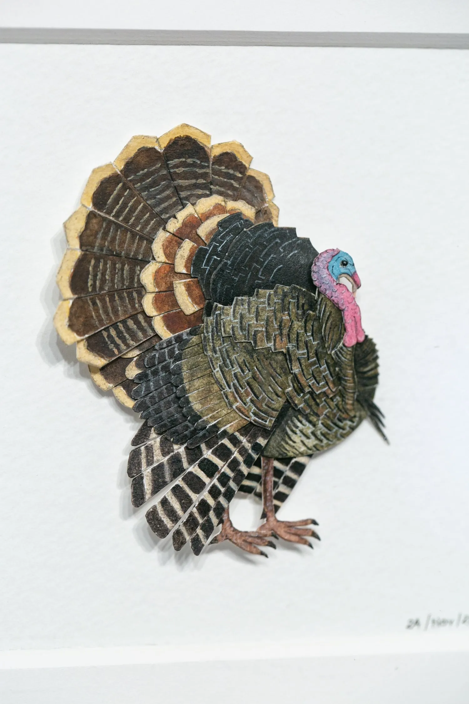 Wild Turkey